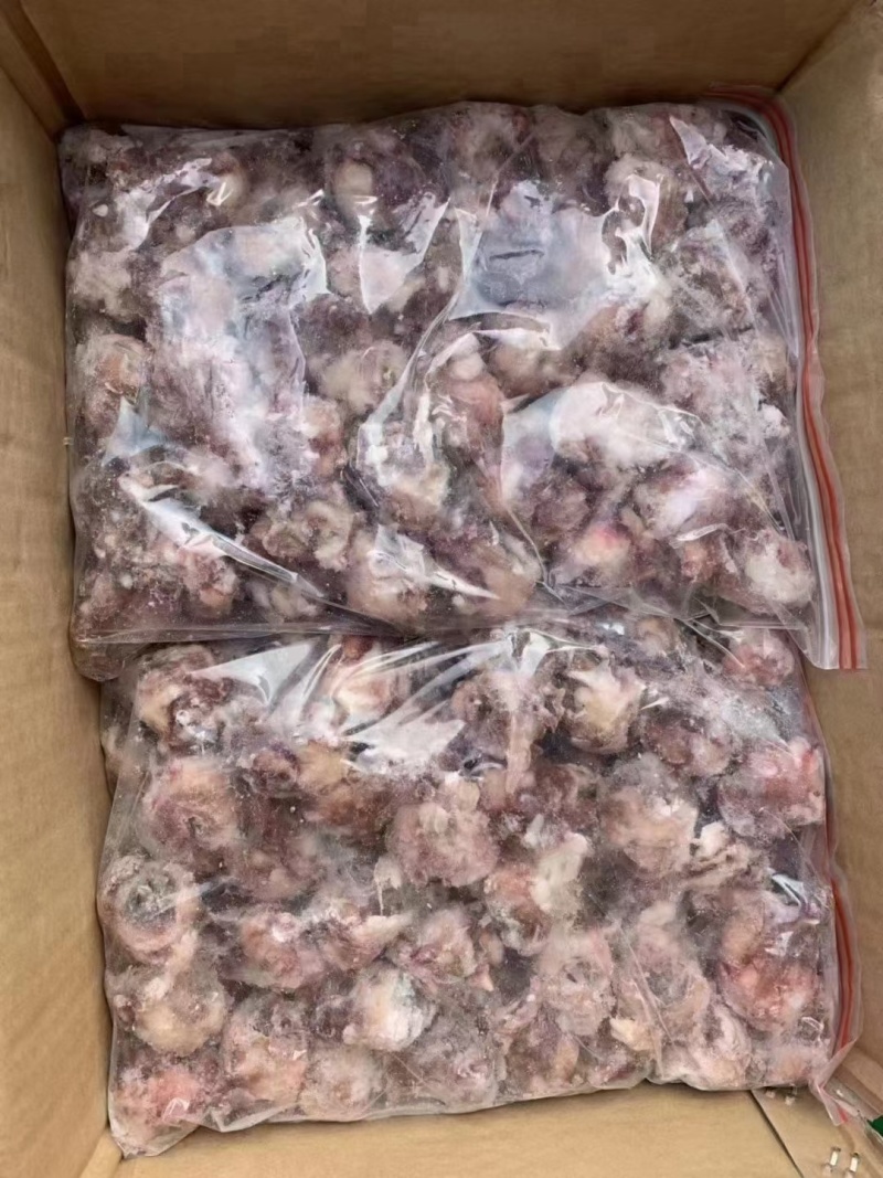 熟羊眼质量好