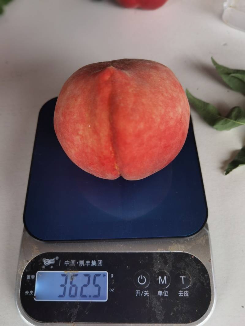 云南红河高山套袋艳红桃