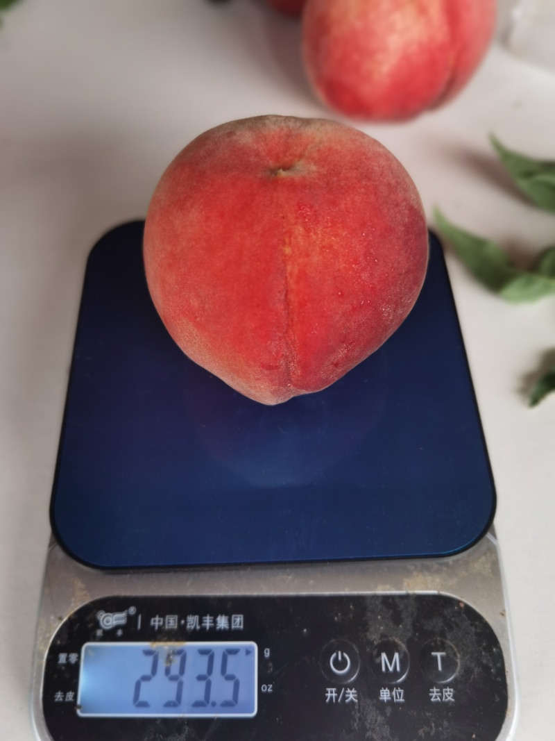 云南红河高山套袋艳红桃
