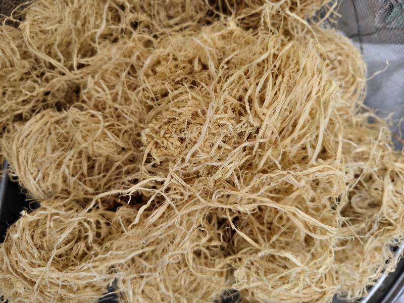 竹茹正品新货竹茹球批发零售