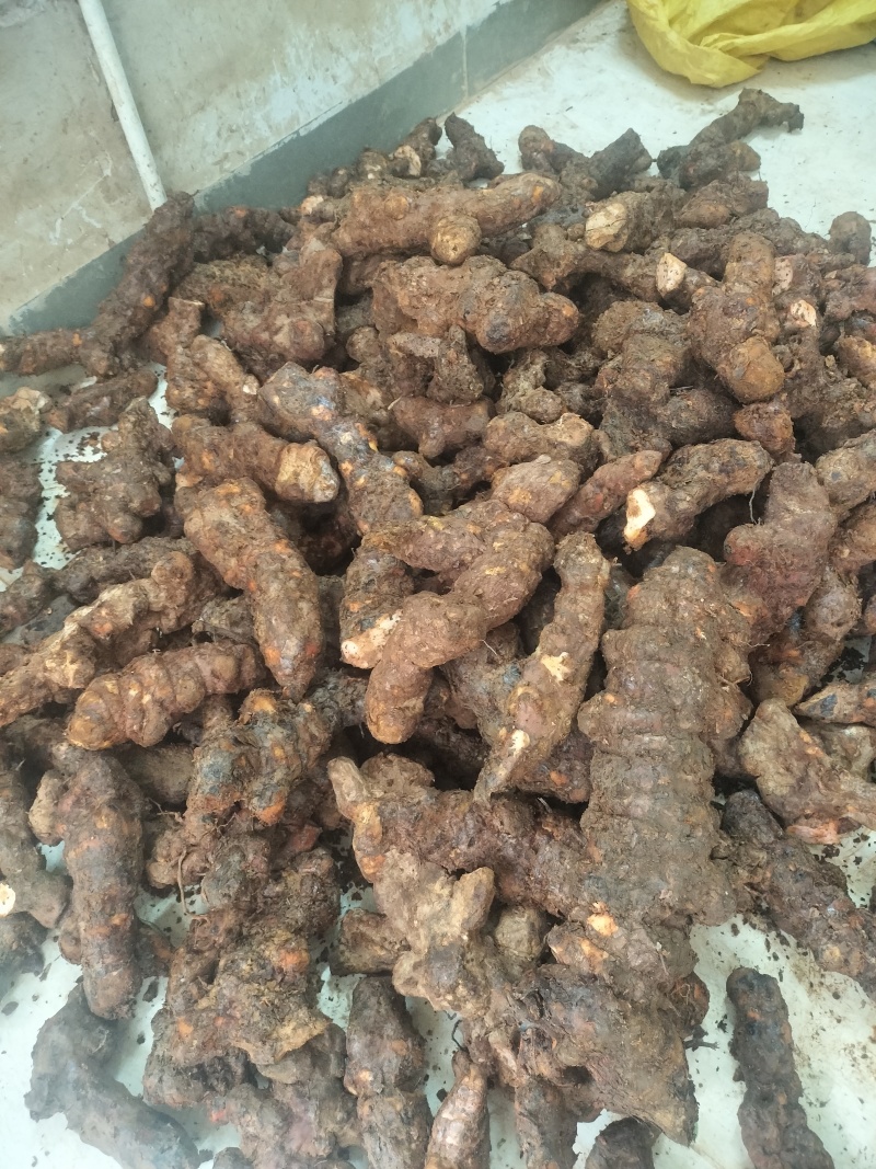 土茯苓本地土茯苓够大条滑身直身好去皮，产地直销一手货源