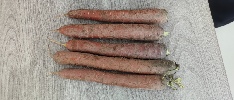 红胡萝卜