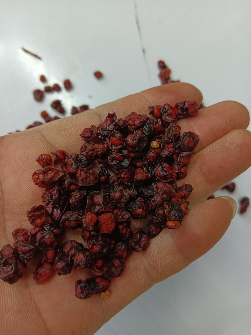 北五味子现货质量很好做工精细新货颜色红包邮