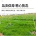 鼠茅草草籽种子厂家一手货源发货量大价格便宜欢迎咨询