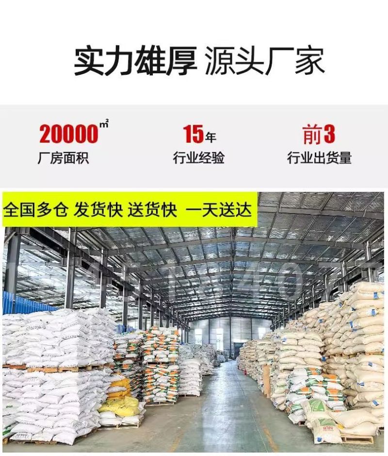 鼠茅草草籽种子厂家一手货源发货量大价格便宜欢迎咨询