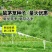 鼠茅草草籽种子厂家一手货源发货量大价格便宜欢迎咨询