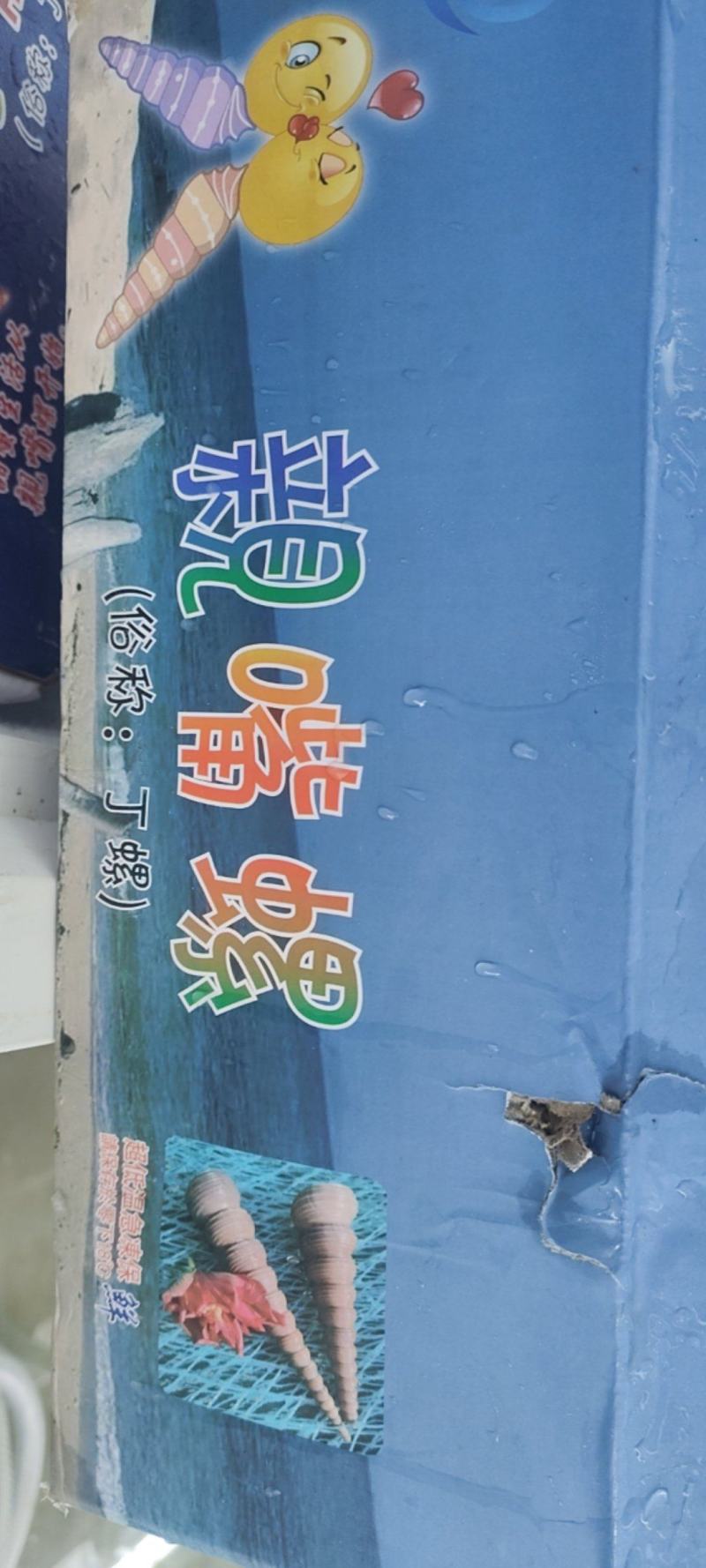 冷冻熟钉螺