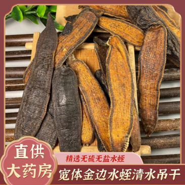 正宗野生金边水蛭正品蚂蝗无盐无矾中药材清水吊干宽正品