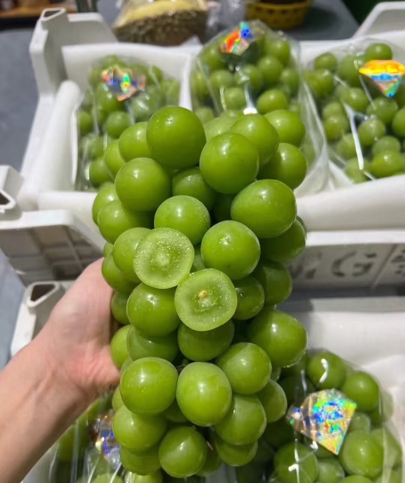 阳光玫瑰陕西晴王葡萄货源充足基地直发量大从优