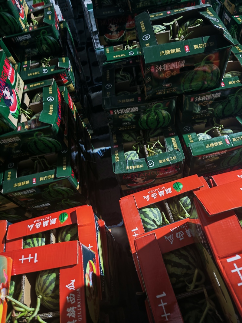 高糖度精品美都麒麟西瓜