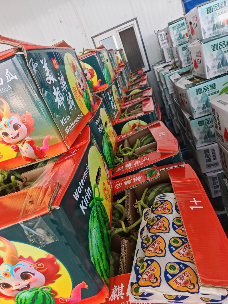 高糖度精品美都麒麟西瓜