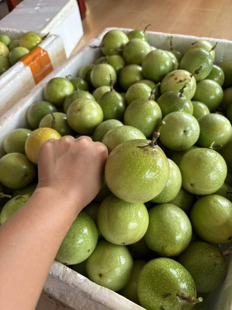 钦蜜九号百香果
