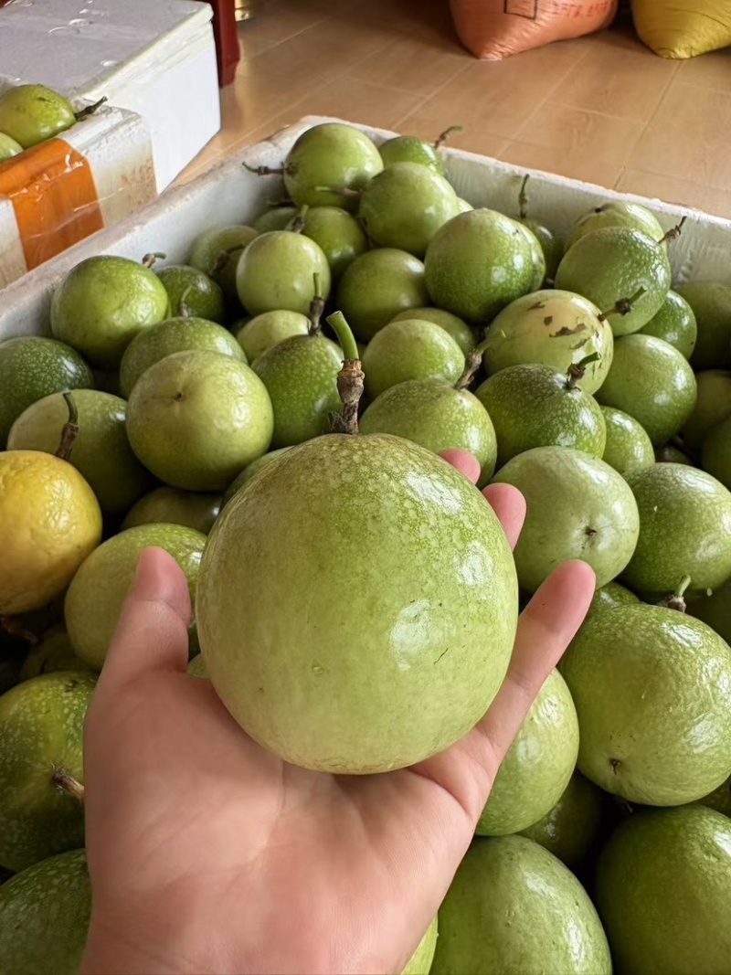 钦蜜九号百香果