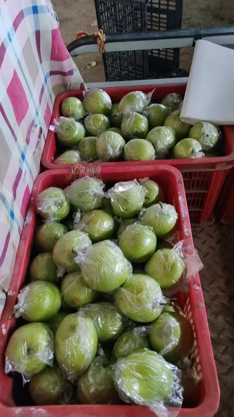 皇冠梨