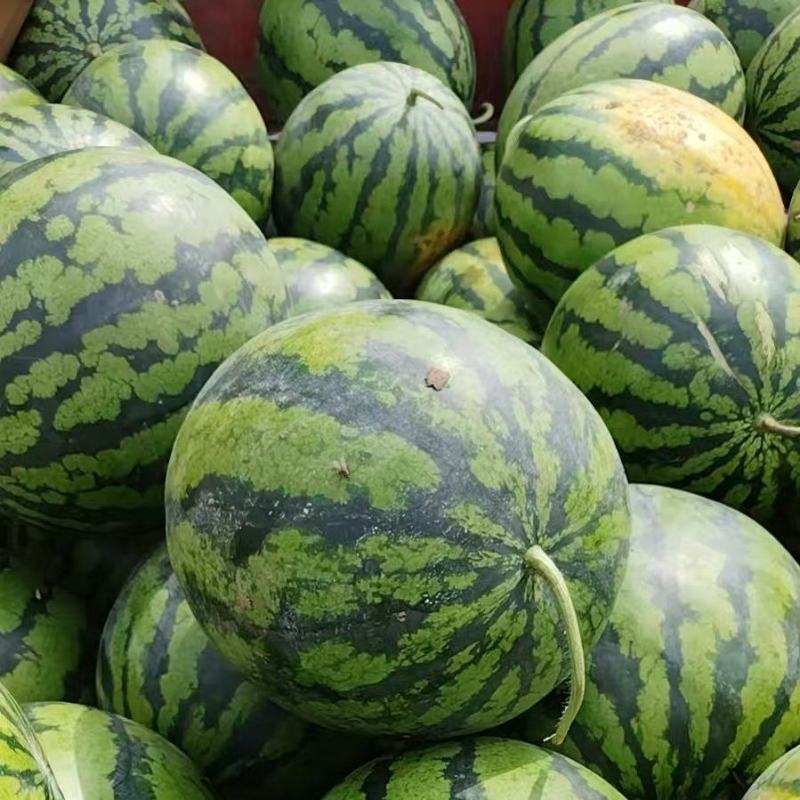 铁岭甜王西瓜