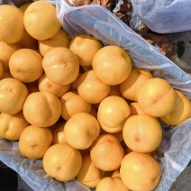 黄油桃杠一大量上市，口感甜脆，质量保证