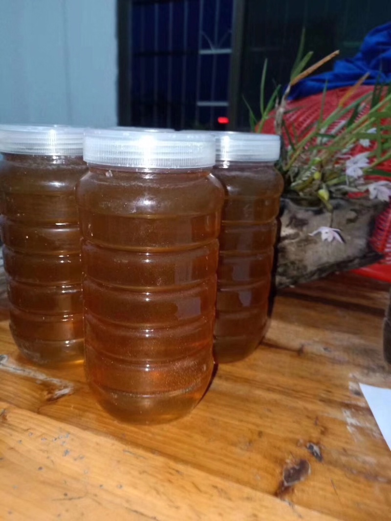 江西赣州龙南九连山蜂蜜野生蜂蜜土蜂蜜