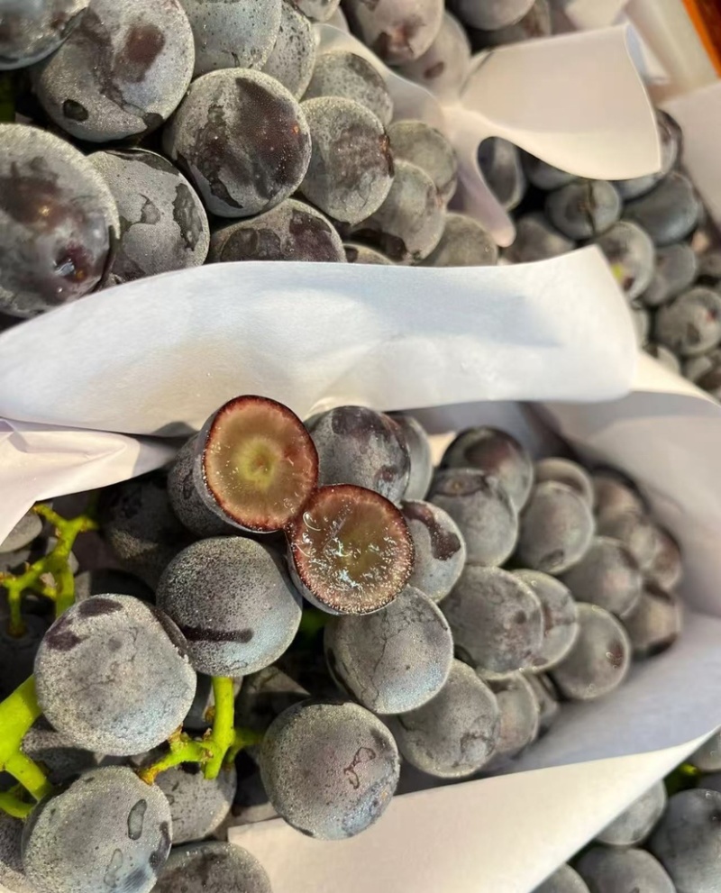 现摘新鲜夏黑葡萄大量上市，质量上乘欢迎看货