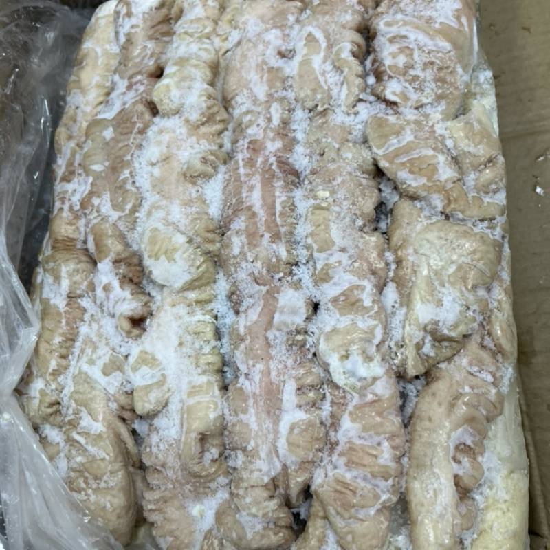白水肥肠去油70%商用20斤解冻13斤左右便宜商用餐饮