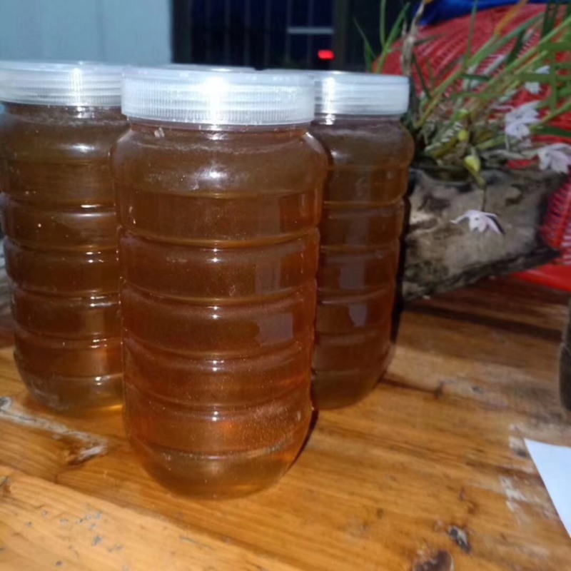 江西赣州龙南九连山蜂蜜野生蜂蜜土蜂蜜