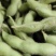 精品毛豆大量上市，翠绿宝，绿宝石系列