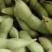 精品毛豆大量上市，翠绿宝，绿宝石系列