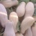 蜜本南瓜基地直发大量供应