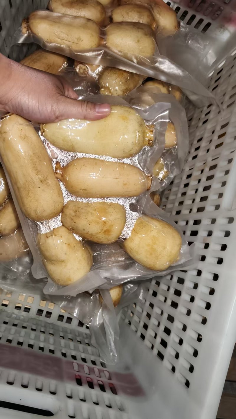 莲藕