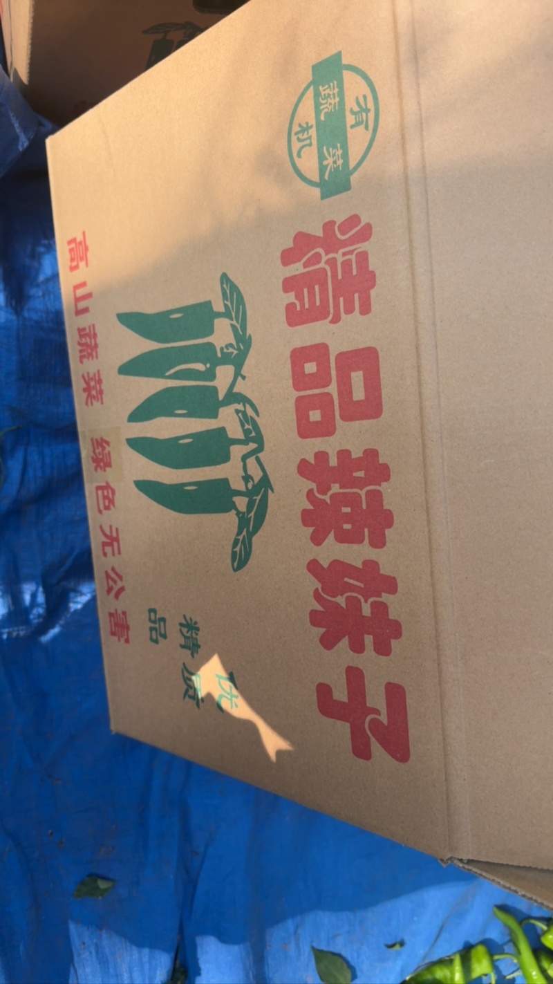 纯精品东北辣妹子仅一家头茬辣妹子