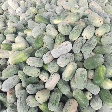 水果冬瓜