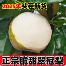 脆甜细嫩多汁现摘应季水果翠冠梨
