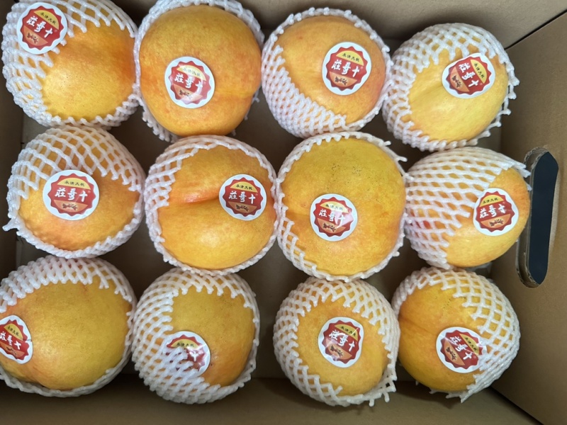永清大桃