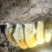 蜂蜜土蜂蜜野生土蜂蜜现挖现发一手货源欢迎咨询