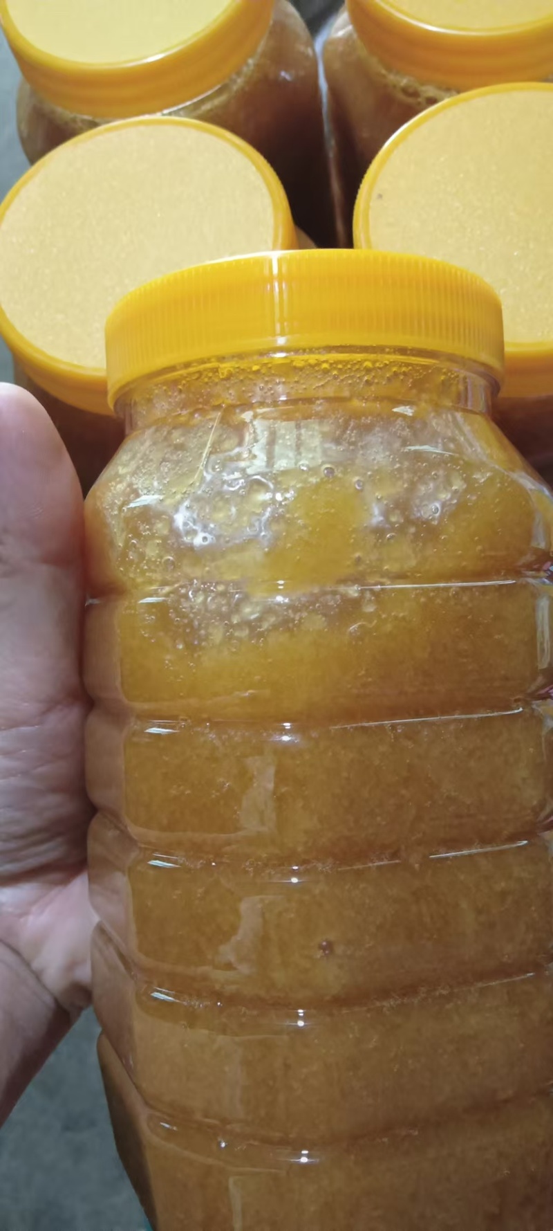 蜂蜜土蜂蜜野生土蜂蜜现挖现发一手货源欢迎咨询