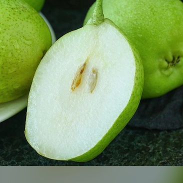 梨园春