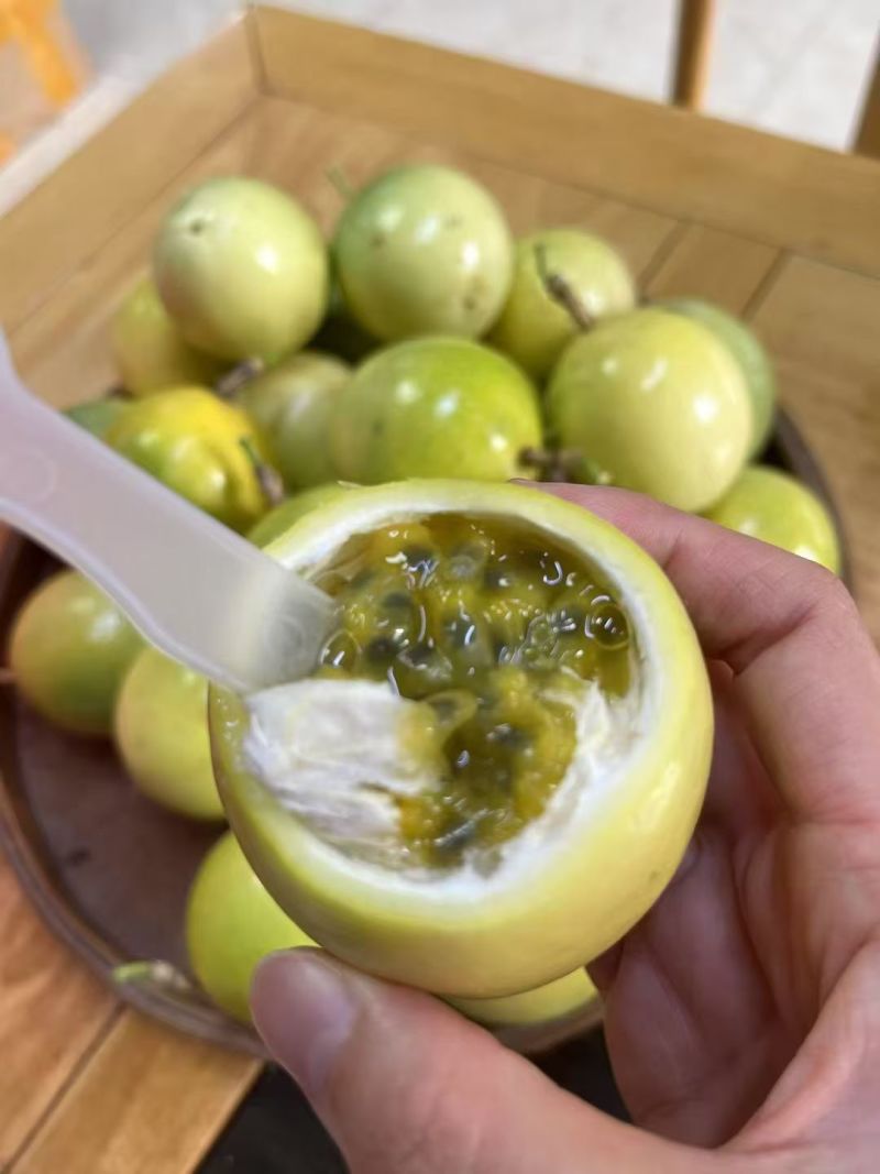 钦蜜9号百香果