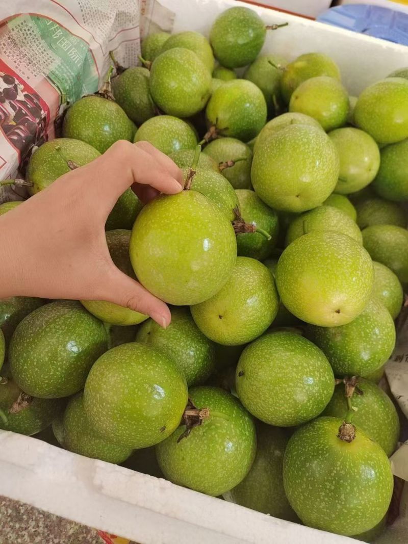 钦蜜9号百香果