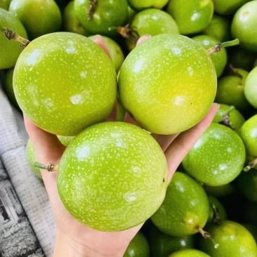钦蜜9号百香果