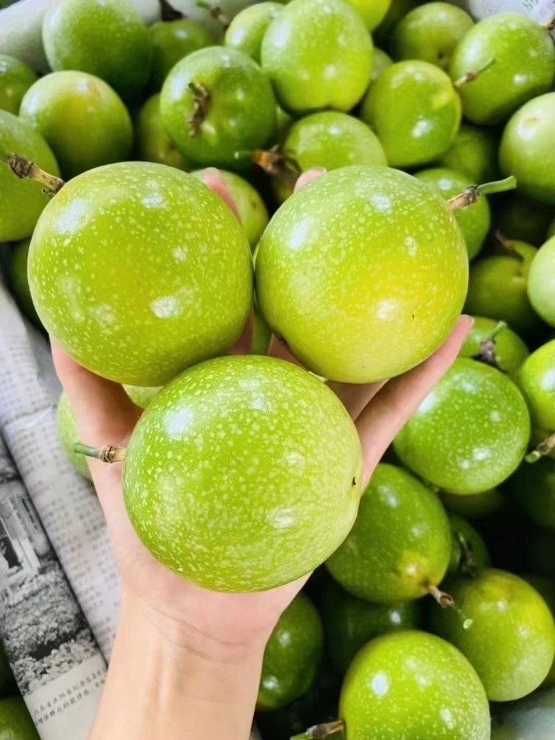 钦蜜9号百香果