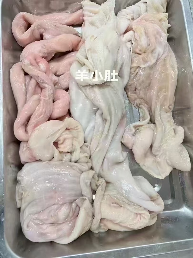 羊小肚，羊散带红肠，红烧麻辣，清炖做羊汤，美味