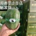 芋香冬瓜