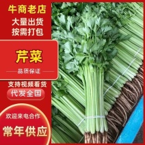 精品芹菜香芹大量上市产地直供价格美丽欢迎老板来电