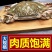 活冻梭子蟹2-6两一个