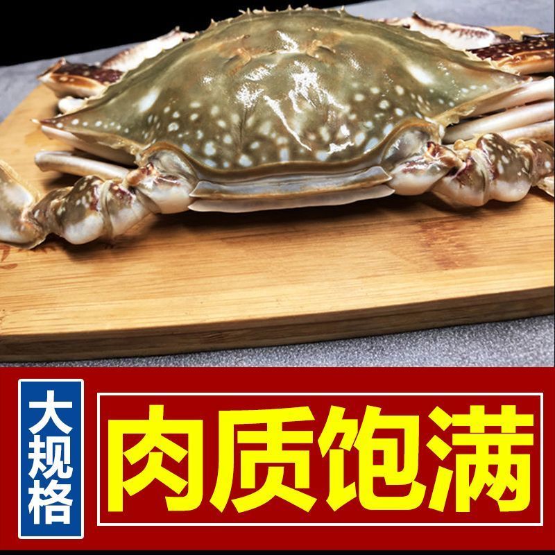 活冻梭子蟹2-6两一个