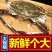 活冻梭子蟹2-6两一个