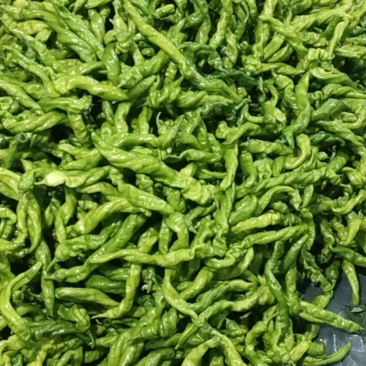螺丝椒