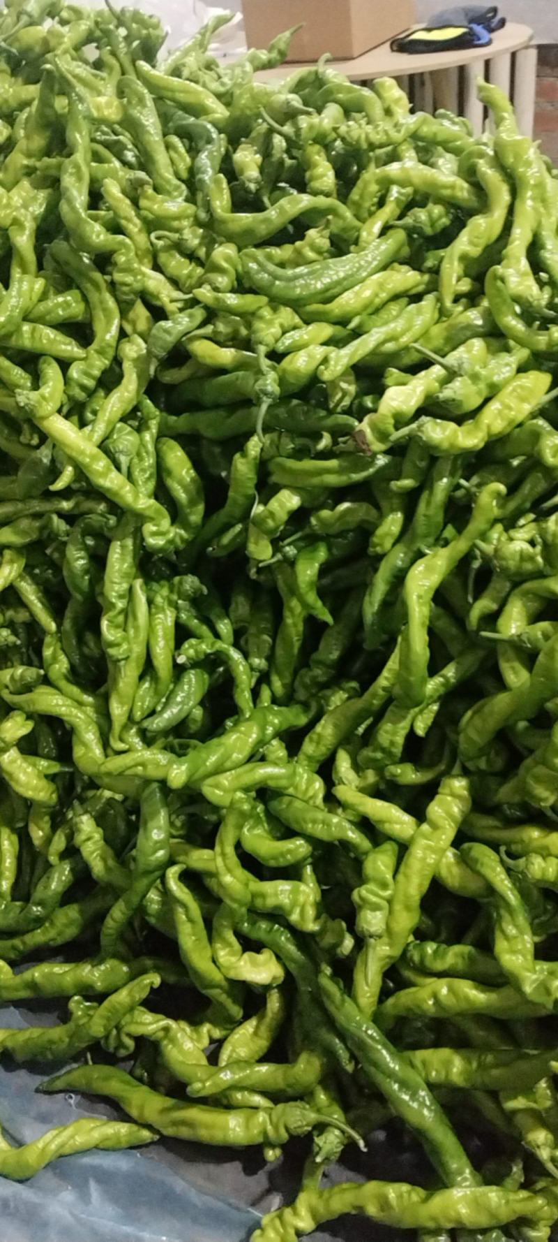 螺丝椒