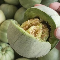 【优选】头茬翡翠、长丰拐集草莓瓜果市场货源充足量大从优
