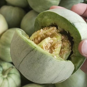 【优选】头茬翡翠、长丰拐集草莓瓜果市场货源充足量大从优