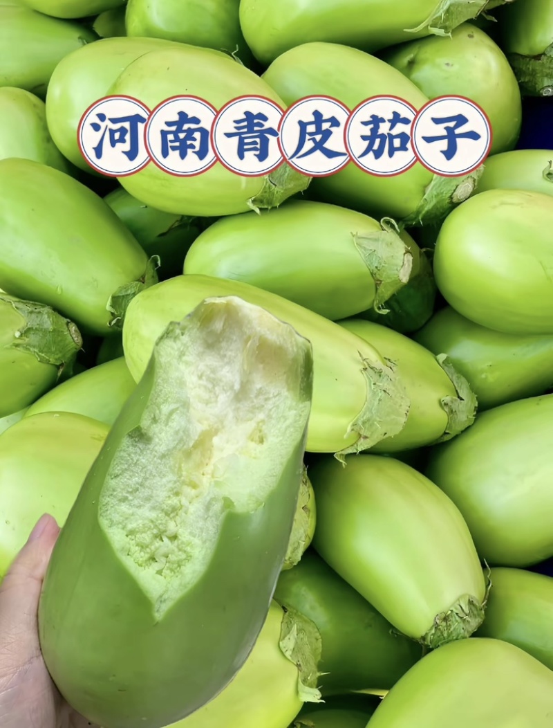 【产地直发】河南大棚青茄子产地一手货源量大从优批发电商
